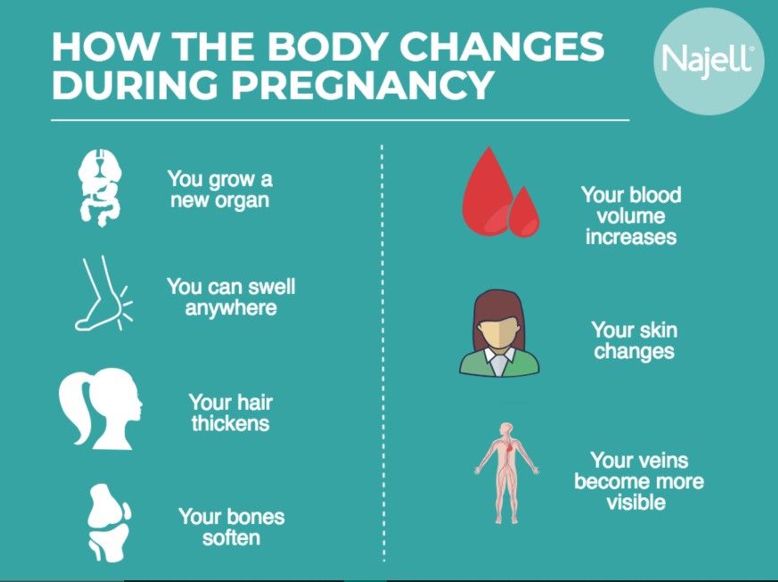 How Your Body Changes During Pregnancy