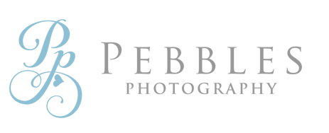 peb logo