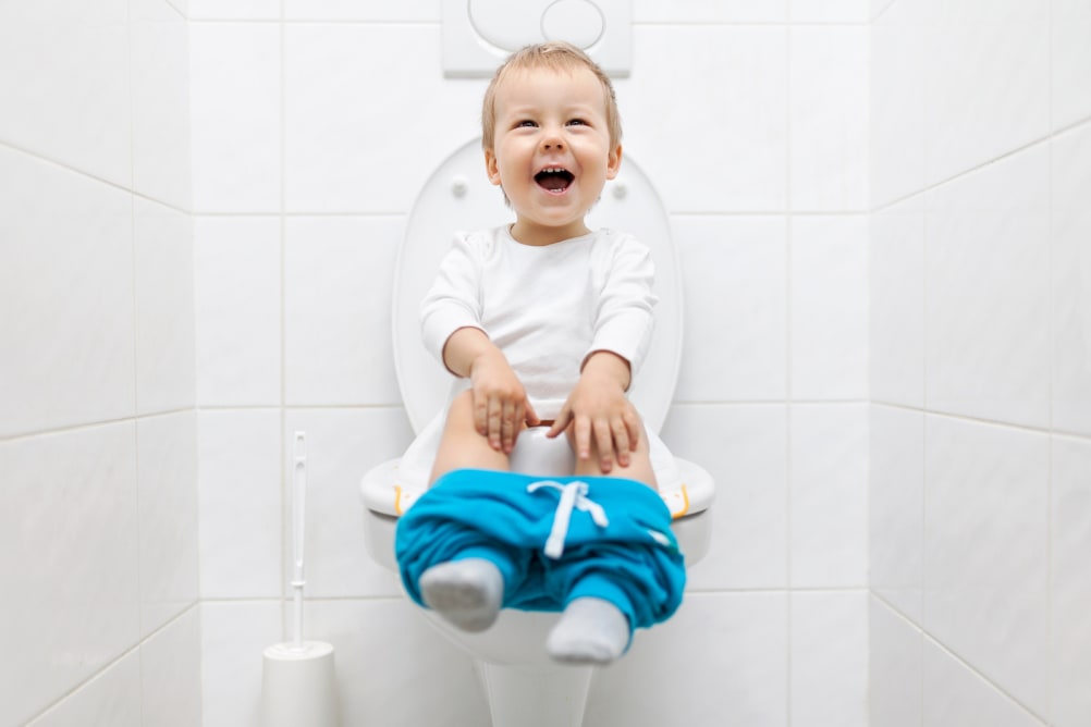 TEGA BABY Childrens Baby Steady POTTY Toilet  FOLK ROYAL BALBY new lines 